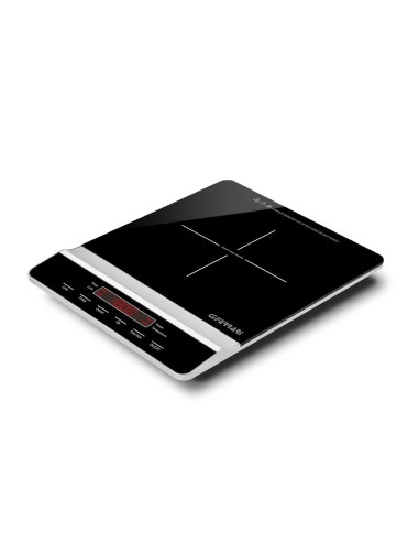 G3FERRARI FORNELLO A INDUZIONE - DINAMIKO