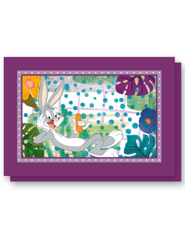 EGAN SET 2 TOVAGLIETTE 45 X 30 CM IN COTONE...