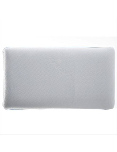 PILLOVE COPRIGUANCIALE 50 X 80 CM - FRESH