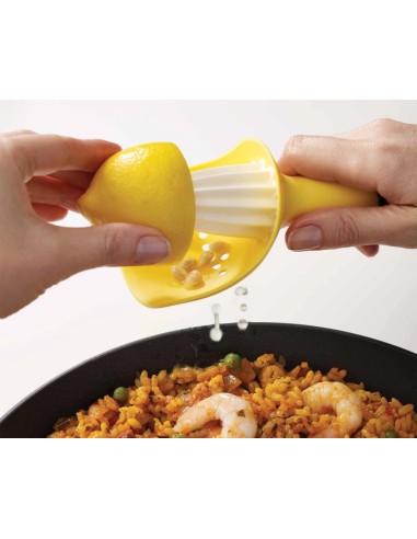 JOSEPH JOSEPH SPREMIAGRUMI 16X6 CM - CATCHER