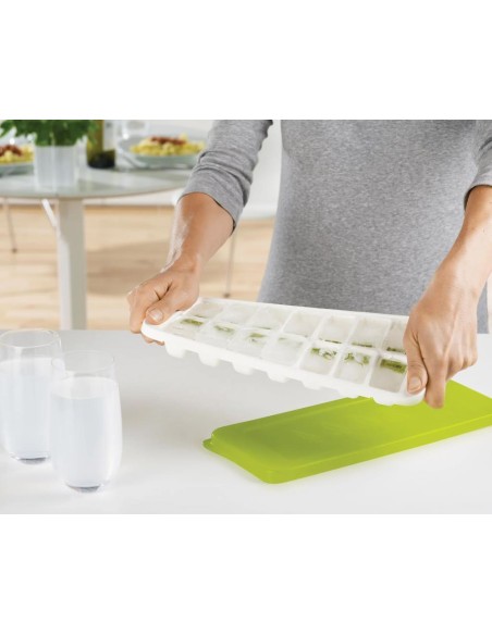 JOSEPH JOSEPH VASSOIO PER IL GHIACCIO CON COPERCHIO 31X13 CM - QUICK SNAP