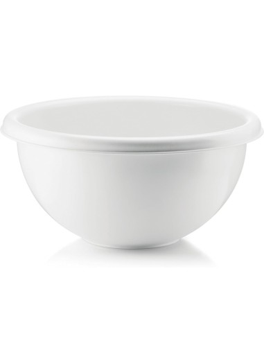 GUZZINI INSALATIERA Ø 30 CM IN PLASTICA - FORME...