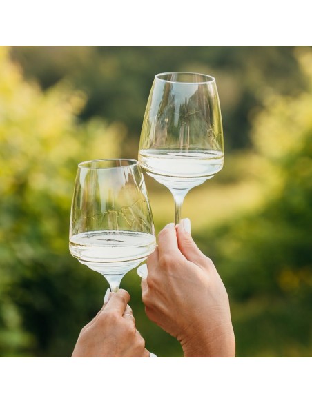 ZAFFERANO SET 6 CALICI VINO SAUVIGNON BLANC 45 CL - ESPERIENZE