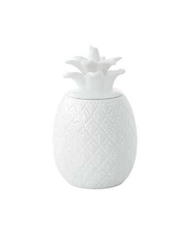 EASY LIFE BARATTOLO ANANAS 11X18 CM - MADAGASCAR