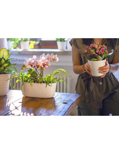 GUZZINI PORTAVASO PER PIANTA IN PLASTICA - TIERRA 