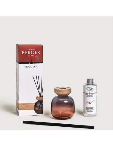 MAISON BERGER DIFFUSORE A STICK 180 ML +...