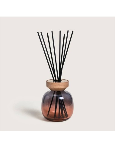 MAISON BERGER DIFFUSORE A STICK 180 ML +...