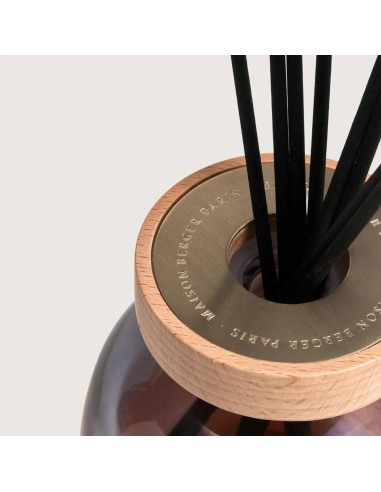 MAISON BERGER DIFFUSORE A STICK 180 ML +...