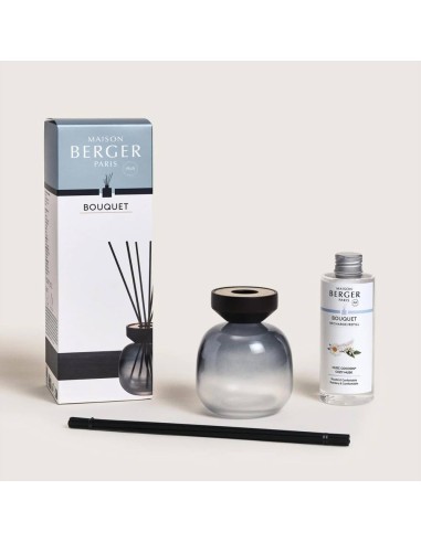 MAISON BERGER DIFFUSORE A STICK 180 ML +...