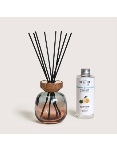 MAISON BERGER DIFFUSORE A STICK 180 ML +...