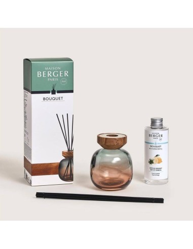MAISON BERGER DIFFUSORE A STICK 180 ML +...