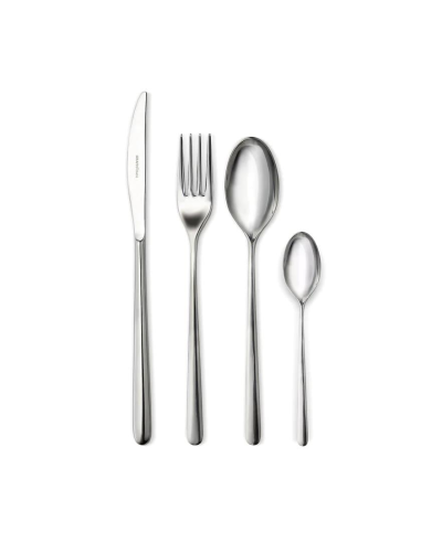 SERAFINO ZANI SERVIZIO 24 PEZZI POSATE - ASSO