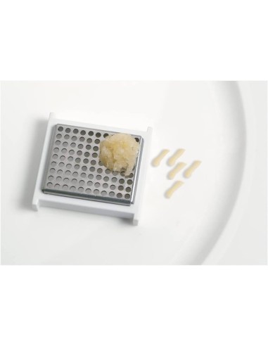 GIANNINI SPREMI AGLIO 18 CM - EXTRAGOURMET