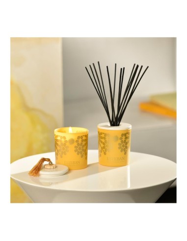 ESTEBAN PARIS DIFFUSORE A BASTONCINI 100 ML -...