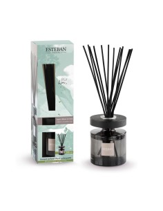 ESTEBAN PARIS DIFFUSORE A BASTONCINI 200 ML - PUR LIN