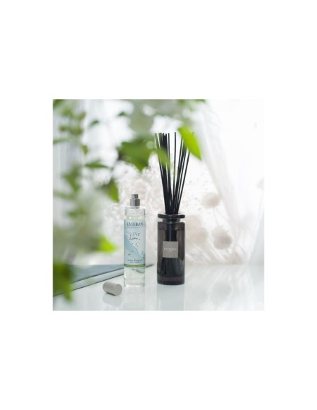 ESTEBAN PARIS DIFFUSORE A BASTONCINI 100 ML - PUR LIN