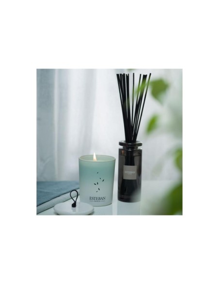 ESTEBAN PARIS DIFFUSORE A BASTONCINI 100 ML - PUR LIN