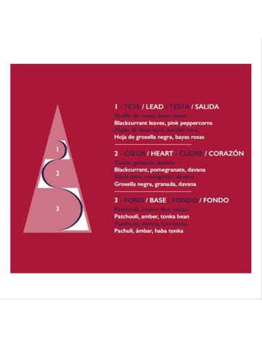 ESTEBAN PARIS ESTEBAN PARIS DIFFUSORE A...