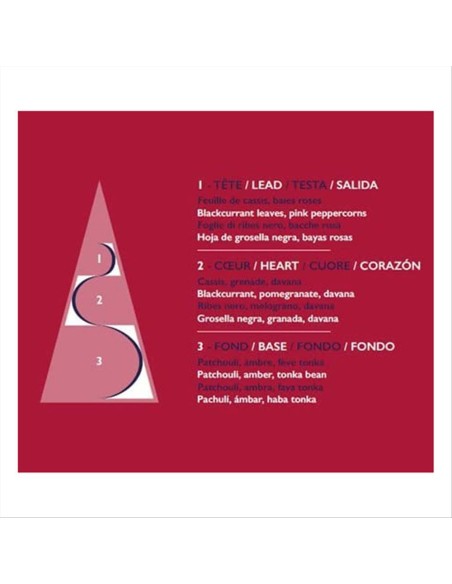 ESTEBAN PARIS ESTEBAN PARIS DIFFUSORE A BASTONCINI 75 ML - ROUGE CASSIS