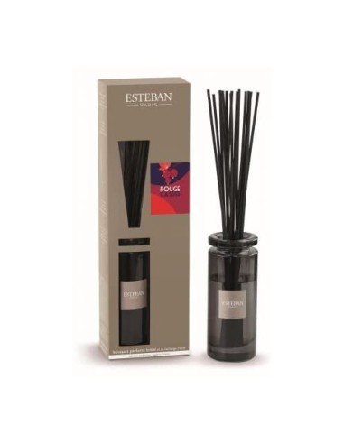 ESTEBAN PARIS ESTEBAN PARIS DIFFUSORE A...