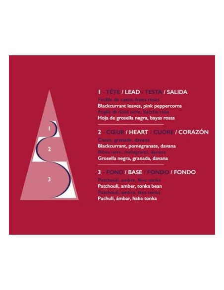 ESTEBAN PARIS ESTEBAN PARIS DIFFUSORE A BASTONCINI 75 ML - ROUGE CASSIS