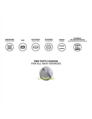 MONETA PENTOLA ALTA 2 MANIGLIE IN ACCIAIO INOX...