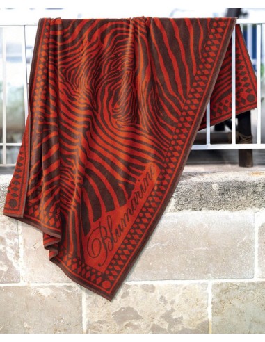 BLUMARINE TELO MARE 100 X 180 CM IN SPUGNA...