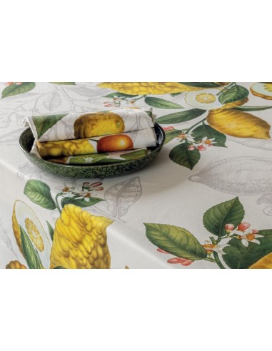 TAG HOUSE TOVAGLIA RETTANGOLARE IN 100% COTONE...