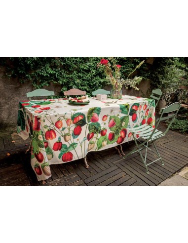 TAG HOUSE TOVAGLIA IN PANAMA 100% COTONE...