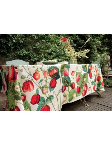 TAG HOUSE TOVAGLIA IN PANAMA 100% COTONE...