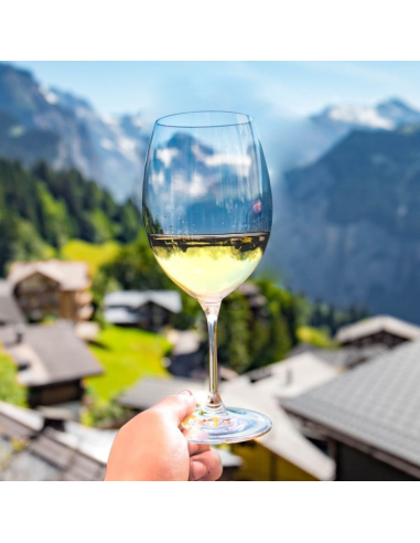 LUCARIS CRYSTAL SET 6 CALICI VINO 74 CL -...