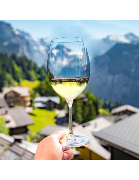 LUCARIS CRYSTAL SET 6 CALICI VINO 74 CL - BANGKOK BLISS BORDEAUX 