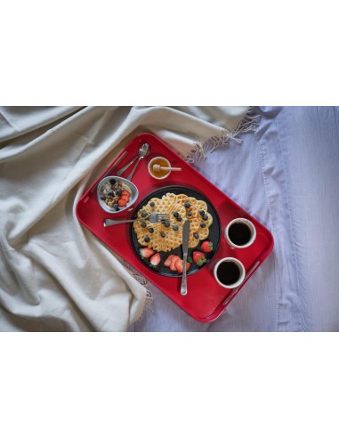 TREBONN VASSOIO IN MELAMINA 51,1 X 32,8 - PILE XL