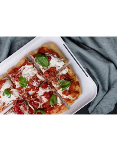 TREBONN VASSOIO IN MELAMINA 51,1 X 32,8 - PILE XL