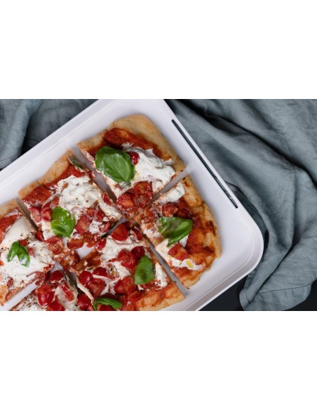 TREBONN VASSOIO IN MELAMINA 51,1 X 32,8 - PILE XL