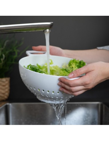 TREBONN SCOLAPASTA CON MANICI Ø 23 CM - HELM