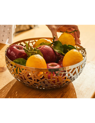 ALESSI FRUTTIERA TRAFORATA - CACTUS!