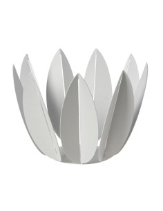 ARTI & MESTIERI AGRUMIERA 27 X H23 CM - FICUS 2