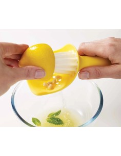 JOSEPH JOSEPH SPREMIAGRUMI 16X6 CM - CATCHER 2