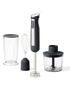 GUZZINI FRULLATORE A IMMERSIONE CON ACCESSORI 600 W -... 2