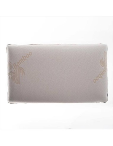 PILLOVE COPRIGUANCIALE IN BAMBOO 50 X 80 CM -...