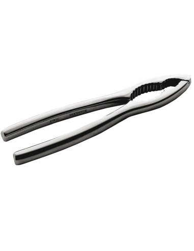 PINTINOX SCHIACCIANOCI A 2 NICCHIE IN ACCIAIO INOX