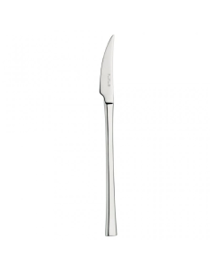 PINTINOX SET 12 COLTELLI FRUTTA IN ACCIAIO INOX - CONCEPT