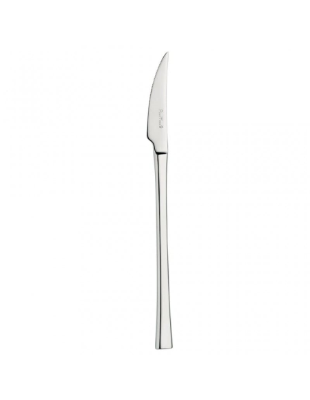 PINTINOX SET 12 COLTELLI FRUTTA IN ACCIAIO INOX - CONCEPT