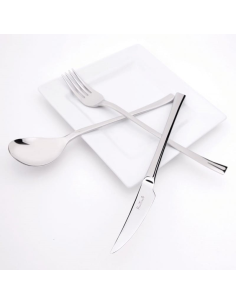 PINTINOX SET 12 COLTELLI FRUTTA IN ACCIAIO INOX - CONCEPT 2