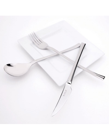 PINTINOX SET 12 COLTELLI FRUTTA IN ACCIAIO INOX...