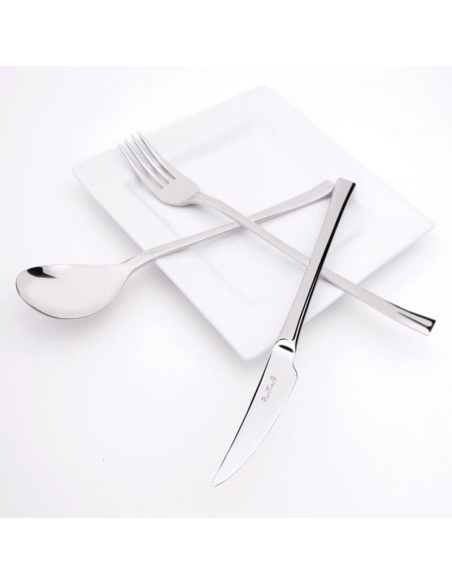 PINTINOX SET 12 COLTELLI FRUTTA IN ACCIAIO INOX - CONCEPT