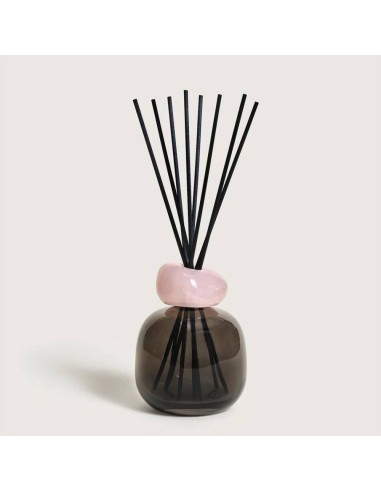 MAISON BERGER DIFFUSORE A STICK 180 ML +...