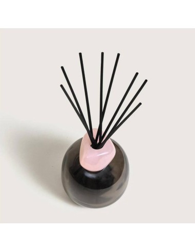 MAISON BERGER DIFFUSORE A STICK 180 ML +...