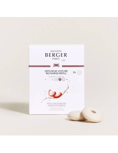 MAISON BERGER COFANETTO 2 RICARICHE IN CERAMICA PER AUTO...